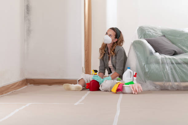 Reliable Crawl Space Mold Removal contractor in Neptune, NJ by WQB Mold Removal
