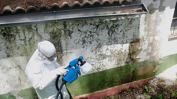 Top rated local Crawl Space Mold Removal specialists in Neptune, NJ